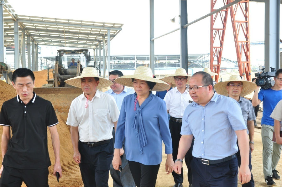 自治區(qū)黨委常委、副主席嚴(yán)植嬋一行蒞臨廣西銀億調(diào)研